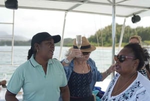 Catamaran Cruise to Ile aux Cerfs & GRSE Waterfall