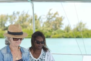 Catamaran Cruise to Ile aux Cerfs & GRSE Waterfall