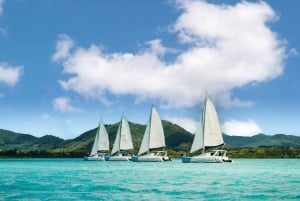 Crucero en catamarán a île aux Cerfs con observación de delfines y almuerzo