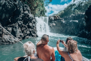 Crucero en catamarán a île aux Cerfs con observación de delfines y almuerzo