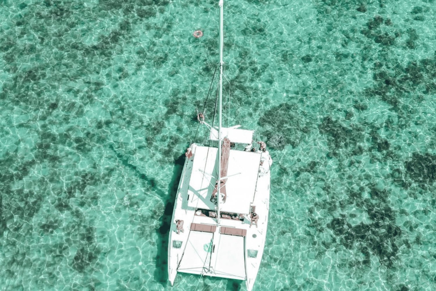 Catamaran Cruise to Ile aux Cerfs with BBQ Lunch & Drinks