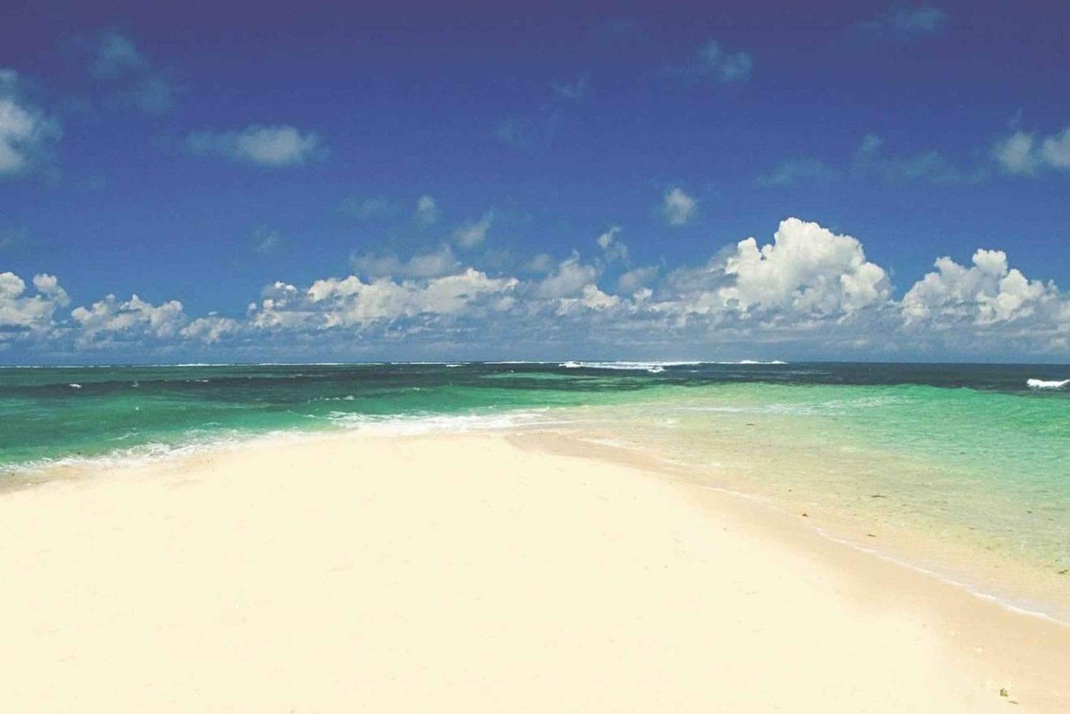 Catamarancruise naar Île aux Cerfs met lunch en drankjes