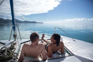 Catamarancruise naar Île aux Cerfs met lunch en drankjes