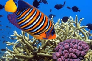 Crociera in catamarano a Mauritius sulle coste settentrionali