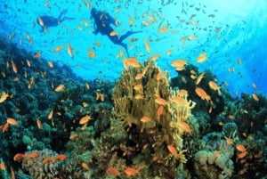 Crociera in catamarano a Mauritius sulle coste settentrionali