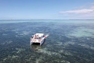 Croisière en catamaran à l'île Maurice : Découvrez les 5 îles du sud-est