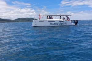 Croisière en catamaran à l'île Maurice : Découvrez les 5 îles du sud-est