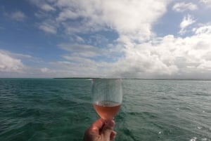 Croisière en catamaran à l'île Maurice : Découvrez les 5 îles du sud-est