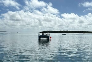 Croisière en catamaran à l'île Maurice : Découvrez les 5 îles du sud-est