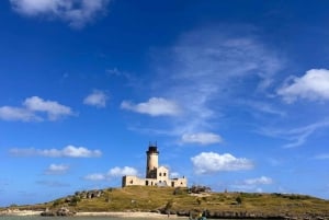 Croisière en catamaran à l'île Maurice : Découvrez les 5 îles du sud-est