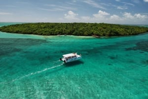 モーリシャスでカタマランクルーズ：南東5島を巡るカタマランクルーズをお楽しみください