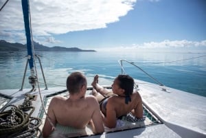 Katamarantur till Ile au Cerfs med lunch och GRSE-vattenfall