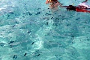 Katamarantur till Ile au Cerfs med lunch och GRSE-vattenfall