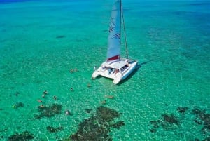 Katamarantur till Ile au Cerfs med lunch och GRSE-vattenfall