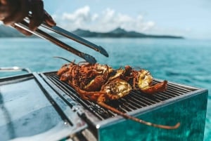 Katamarantur till Ile au Cerfs med lunch och GRSE-vattenfall