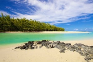 Katamarantur till Ile au Cerfs med lunch och GRSE-vattenfall