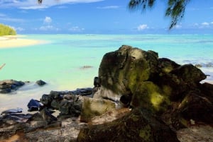 Katamarantur till Ile au Cerfs med lunch och GRSE-vattenfall