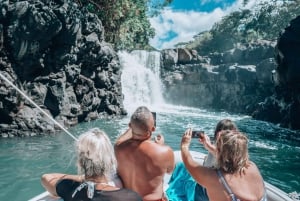 Katamarantur till Ile au Cerfs med lunch och GRSE-vattenfall