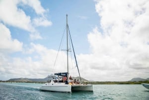 Catamaran Trip to Ile aux Cerfs with BBQ Lunch