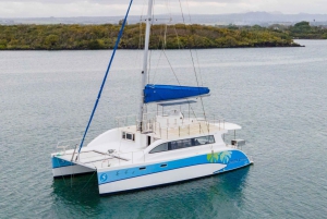 Katamarantur til Ile aux Cerfs med grillfrokost