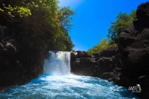 Katamarantur til Ile aux Cerfs med grillfrokost