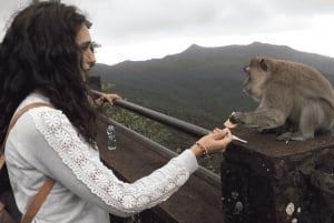 Maurícias: Chamarel 7 Cores e Cascatas, Tour Sudoeste