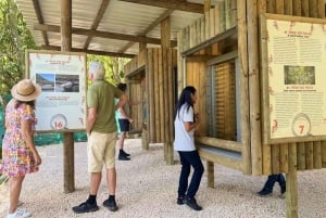 Chamarel: Ingresso para a Maurícia Curiosa