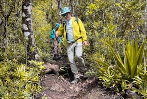 Chamarel: Auringonlaskun vuoristovaellus