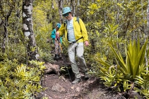 Chamarel: Sunset Mountain Hike