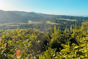 Chamarel: Sunset Mountain Hike