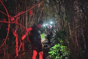 Chamarel: Sunset Mountain Hike