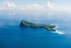 Excursión privada de snorkel de 2 horas en Coin de Mire