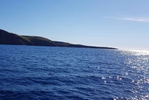 Excursión privada de snorkel de 2 horas en Coin de Mire