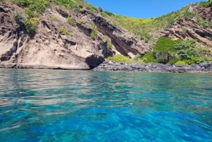 Excursión privada de snorkel de 2 horas en Coin de Mire