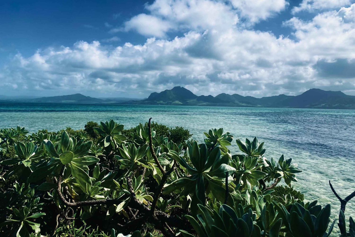 Day Trip at Ile aux Cerfs and other Gems of the South.