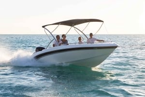 Excursión de un día a Ile aux Cerfs y otras Joyas del Sur.