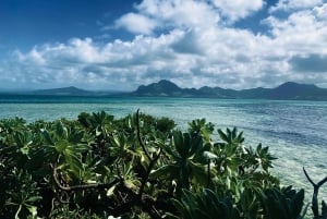 Excursión de un día a Ile aux Cerfs y otras Joyas del Sur.