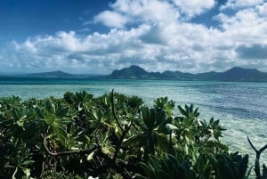 Day Trip at Ile aux Cerfs and other Gems of the South.