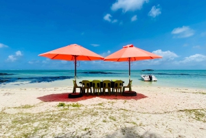 Day Trip at Ile aux Cerfs and other Gems of the South.