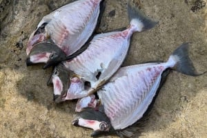 DAY TRIP: Private Speedboat Excursion in Mauritius