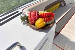 DAY TRIP: Private Speedboat Excursion in Mauritius