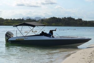 DAY TRIP: Private Speedboat Excursion in Mauritius