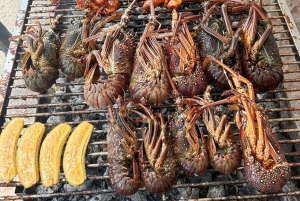 DAY TRIP: Private Speedboat Excursion in Mauritius