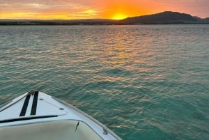 DAY TRIP: Private Speedboat Excursion in Mauritius