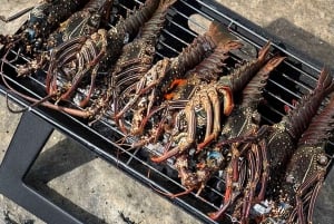 DAY TRIP: Private Speedboat Excursion in Mauritius