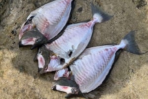 DAY TRIP: Private Speedboat Excursion in Mauritius