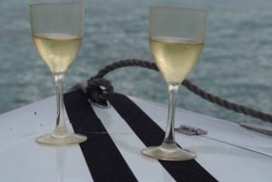 DAY TRIP: Private Speedboat Excursion in Mauritius