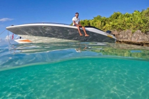 DAY TRIP: Private Speedboat Excursion in Mauritius