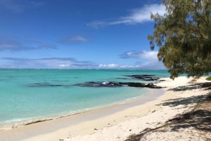 DAY TRIP: Private Speedboat Excursion in Mauritius