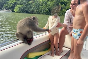 DAY TRIP: Private Speedboat Excursion in Mauritius